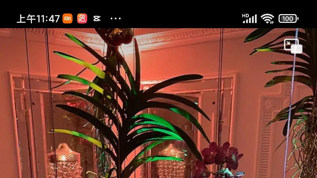 李湘|李湘，请你不要再晒了好吗？