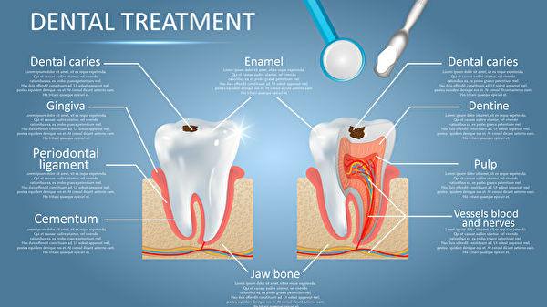 新技术用纳米机器人可深度清洁牙齿细菌