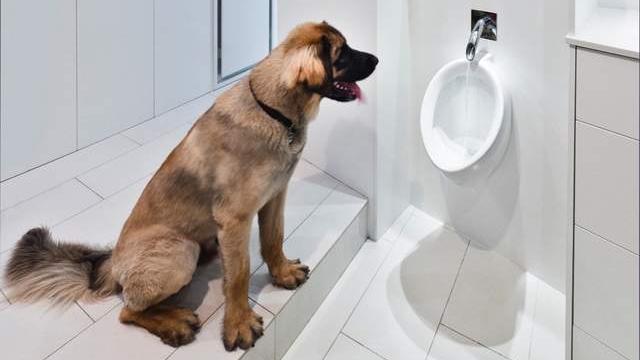 102平北欧风二居室简约而不简单，又有拥抱大自然的感觉