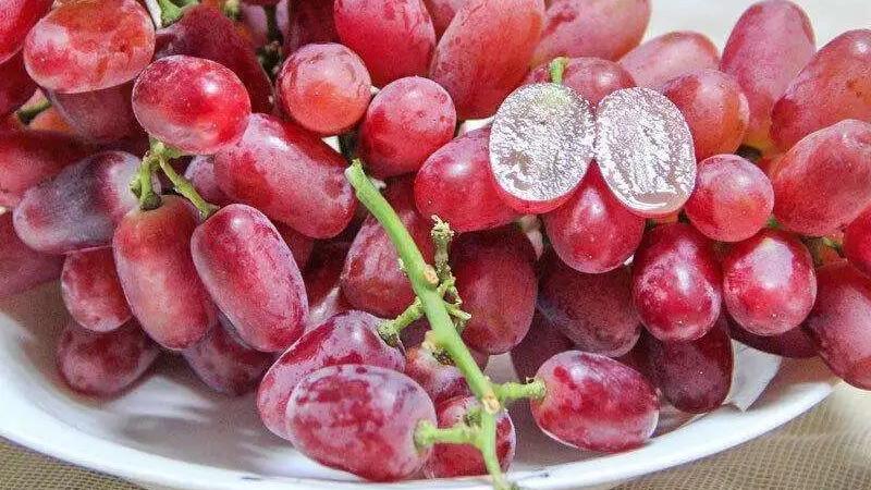 【科学强国】懒人福音！无籽水果真的安全吗？