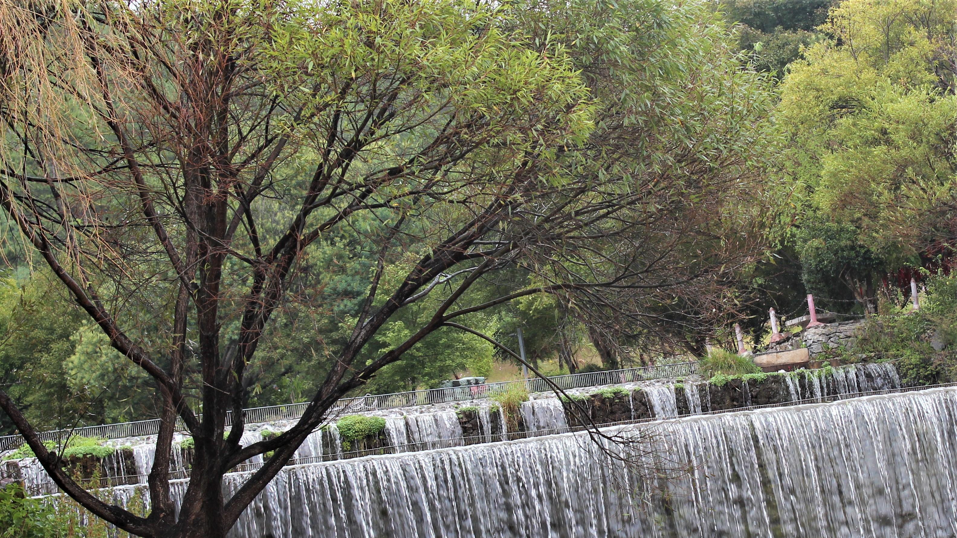|职场盖房子，非一日之功