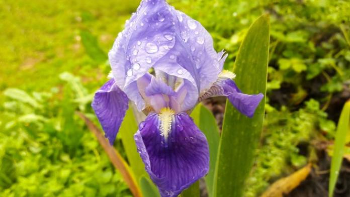 |为什么有的人很回避与领导接触？谈谈我的个人经验分享