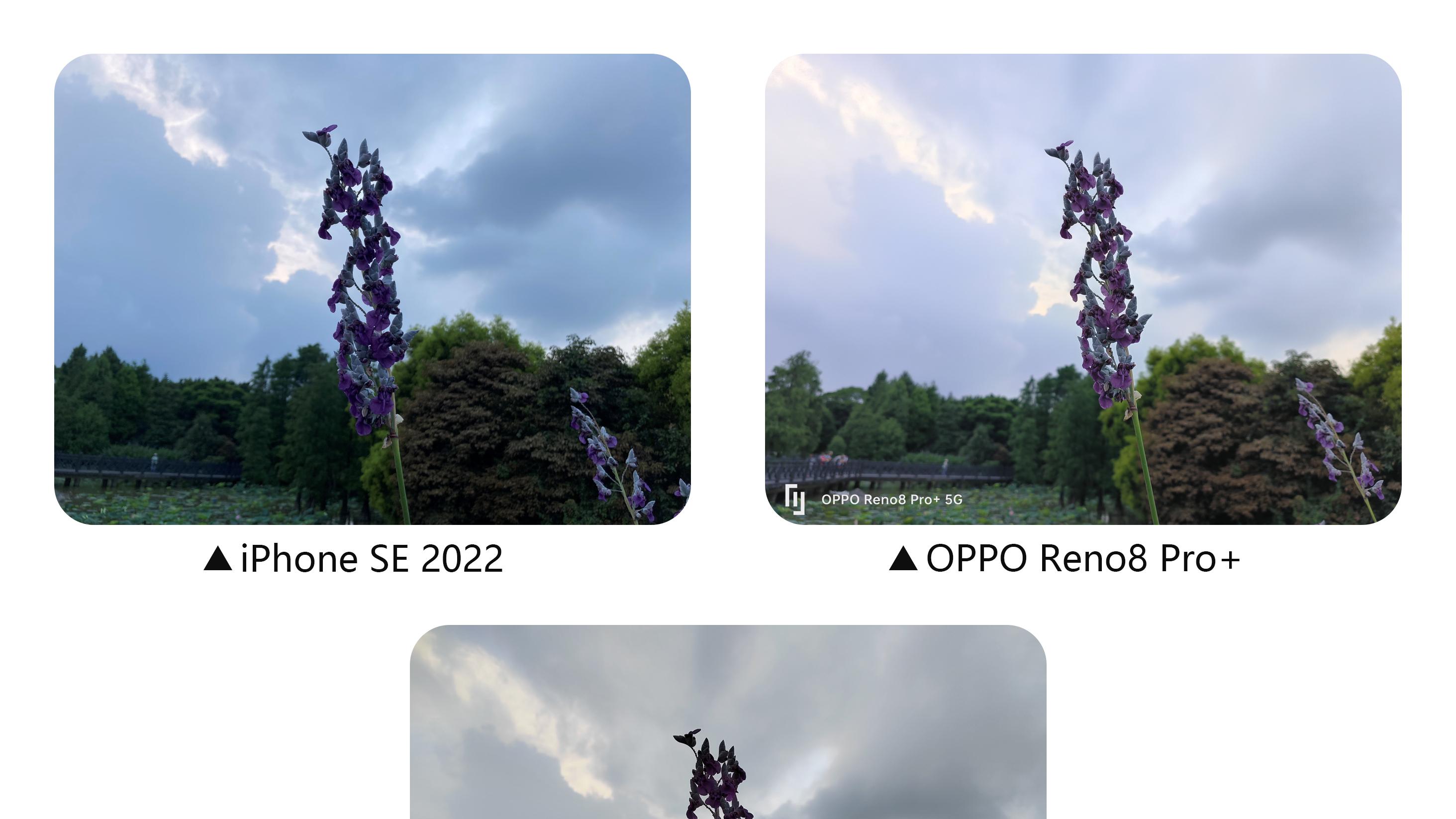 iPhoneSE|618换机怎么选？这三款中端机各有优势，实拍对比影像表现