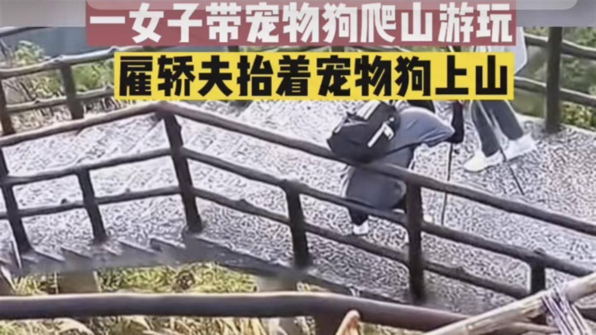 女子雇轿夫抬狗上山遭质疑，盲目的“善意”是在砸他人饭碗