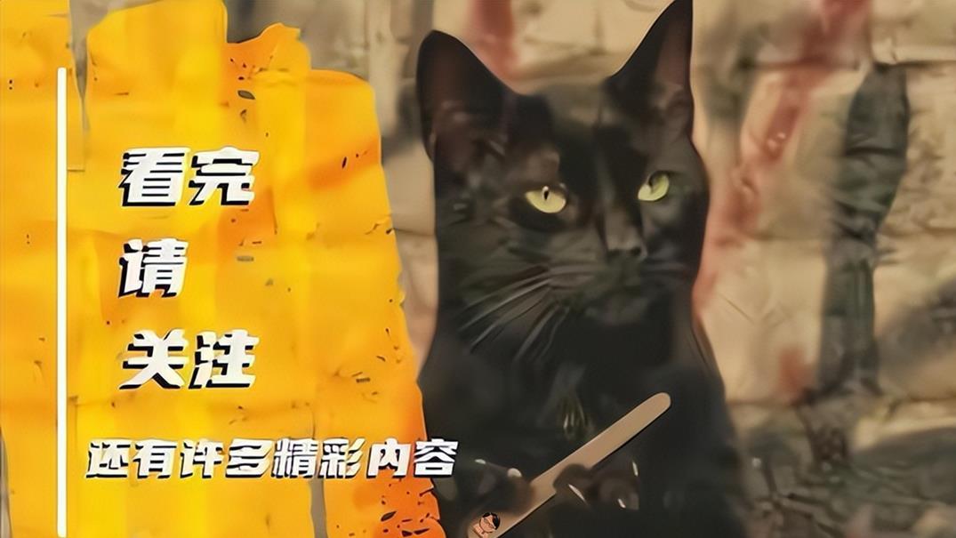 入侵物种——“妖魔化”的非本地物种，科学家努力寻找其积极影响