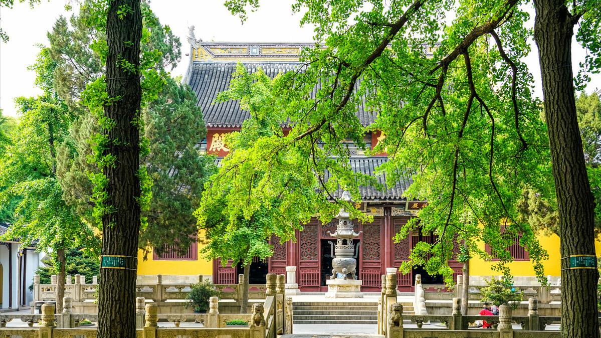 云南|苏州“良心”寺庙，主动退出4A景区后，成为撸猫者的天堂