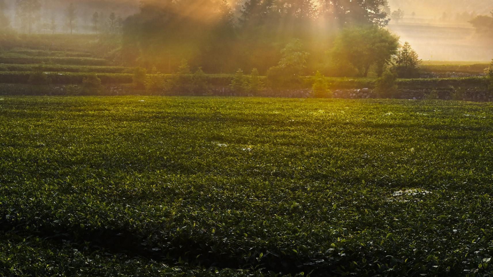 德昌|云台山风景区：不灭的灯光，璀璨的夜景