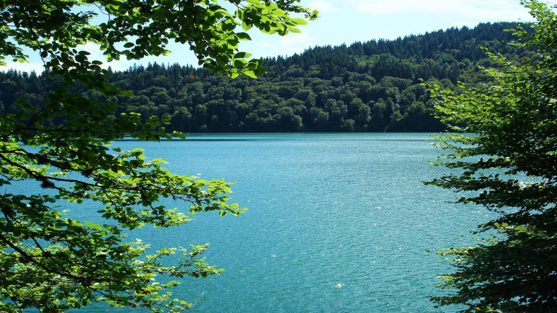 |我们忙着吵架，忙着工作却忘了一路的艰辛!