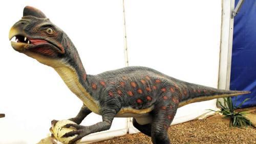 窃蛋龙，慈母被冤枉成小偷，即使平反昭雪也除去不了冤名