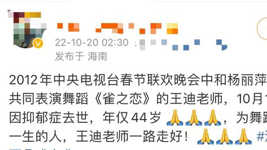 国家一级演员王迪因抑郁症去世，曾登春晚与杨丽萍合作，享年44岁