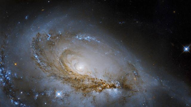 波兰科学家们利用银河系中米拉变星和造父变星确定了银河系的形状