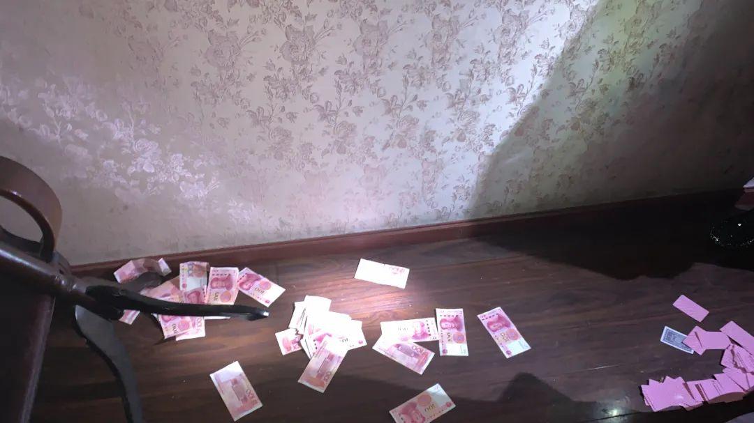 “不许动！”深夜，大批便衣冲入一农宅