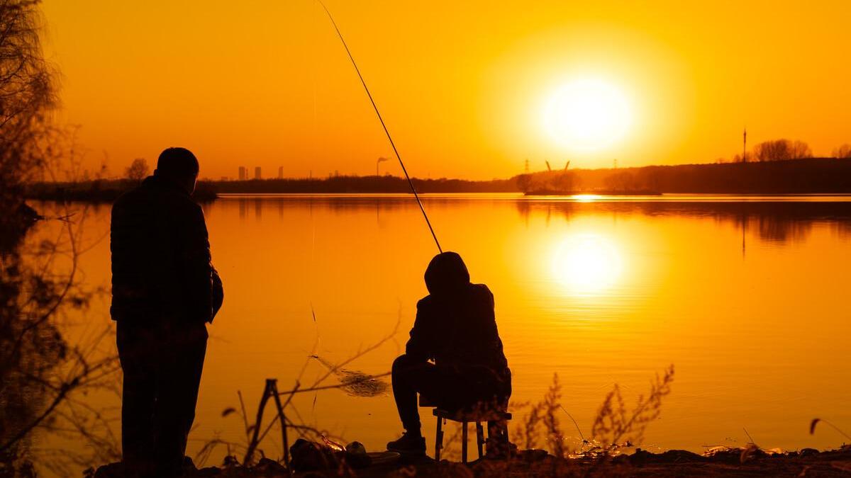 |父亲的鱼塘，不仅鱼儿肥硕，更有浓得化不开的父爱