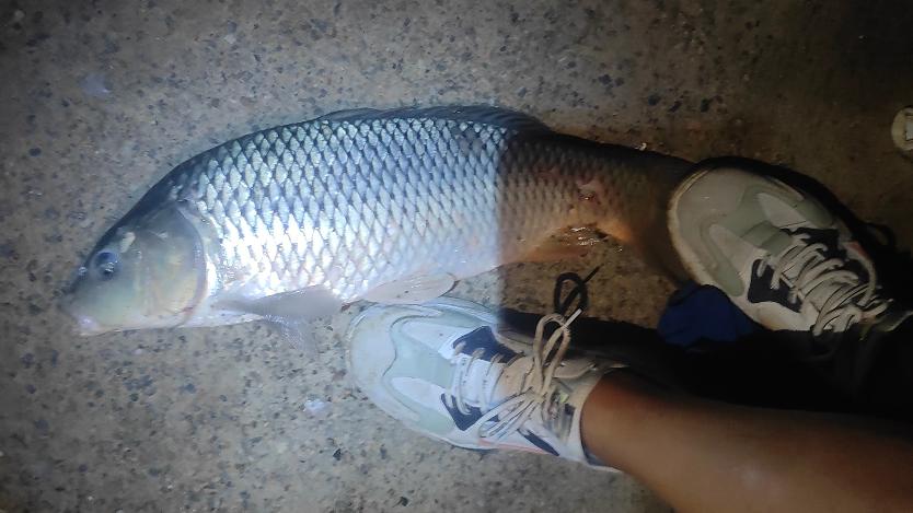 空军|钓鱼人外出作钓，经常忽视一点，王者之战给钓鱼人上了生动一课