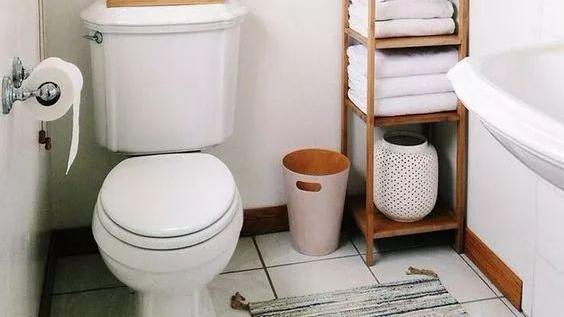 厕纸应该冲掉还是扔进垃圾桶？原来这么多年都做错了