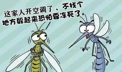 今年夏天的蚊子为何比往年少？这是件好事吗？为什么？