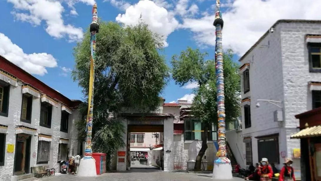 西藏|西藏记忆之小昭寺