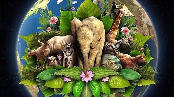 真的会有外星生命吗？它们是一种什么样的生命形态？