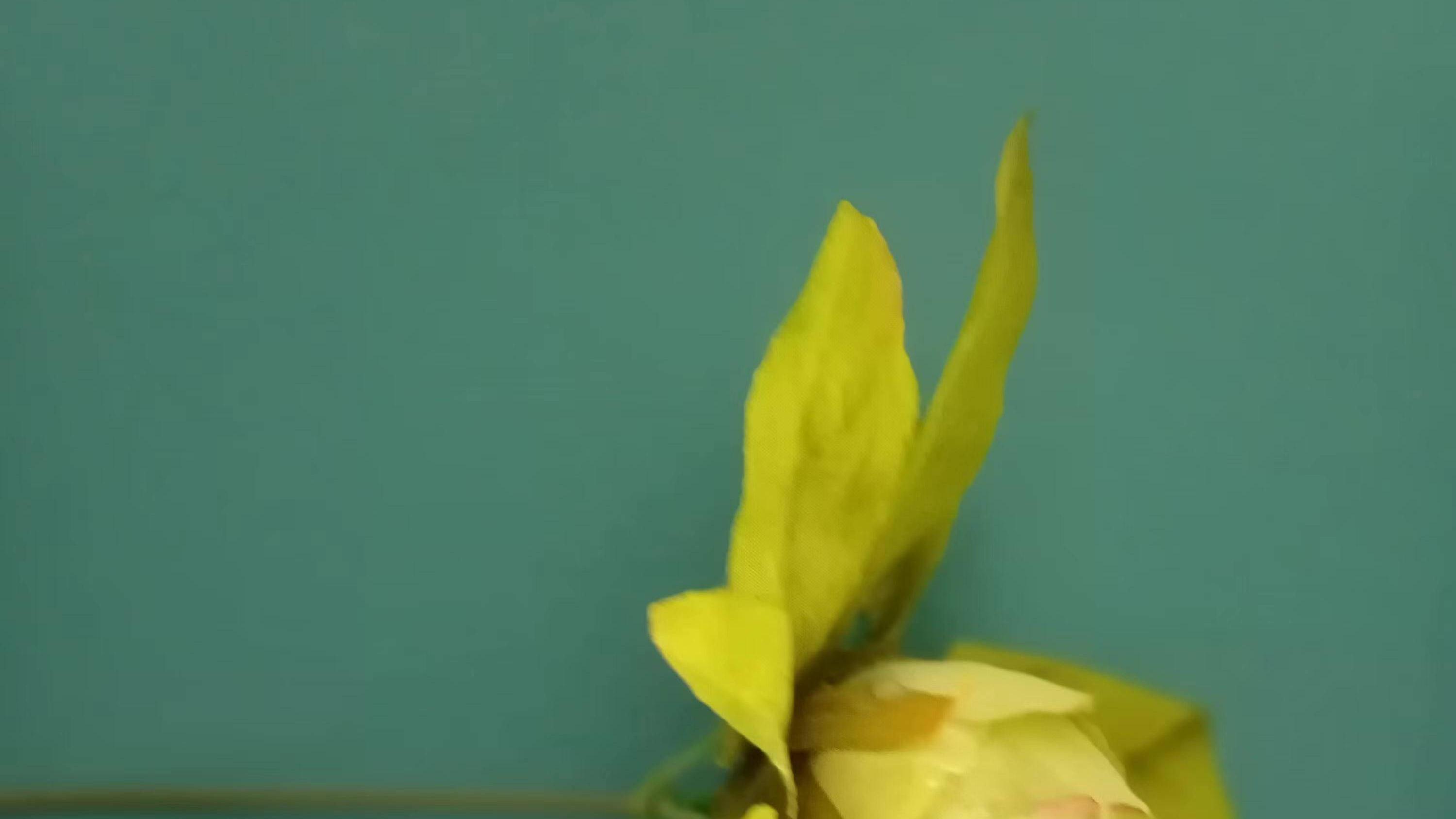 退休|职场扎心真相，没有人会对你的晚年退休生活负责，养老只能靠自己