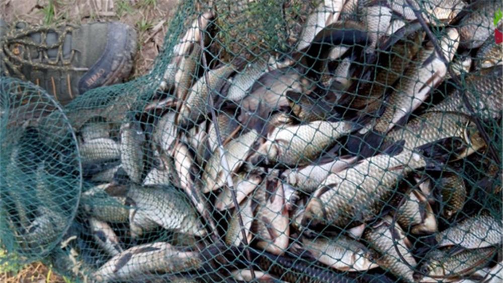 绝杀|寒冬野钓绝杀钓法，给朝天钩钓组加个铅坠，让大鲫鱼无所遁形