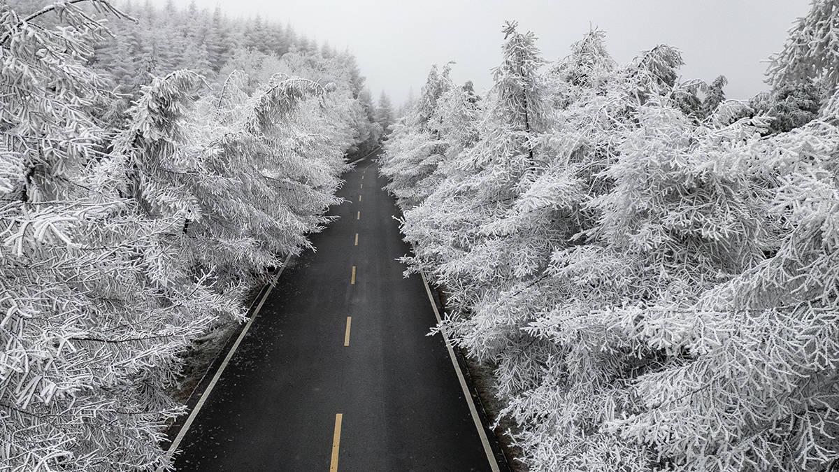 仙女山|难得一见! 重庆仙女山迎2022冬首场雾凇奇观，美腻了