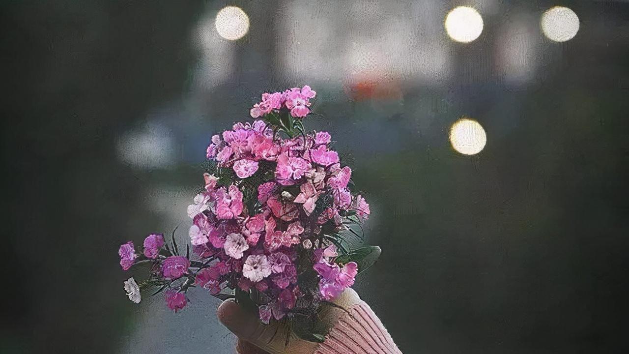 穿衣搭配|在变老的路上，除了善良，还需要这几个品质