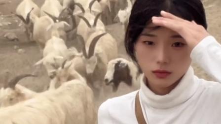 刘浩存|00后网红长相甜美手段狠辣，靠8分钟噶羊走红，网友：比刘浩存强