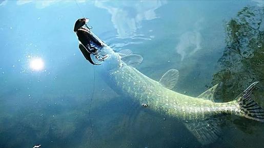 魔兽世界|钓鱼的天花板，男子用拖车尾板当悬空钓台！网友：下次用消防云梯