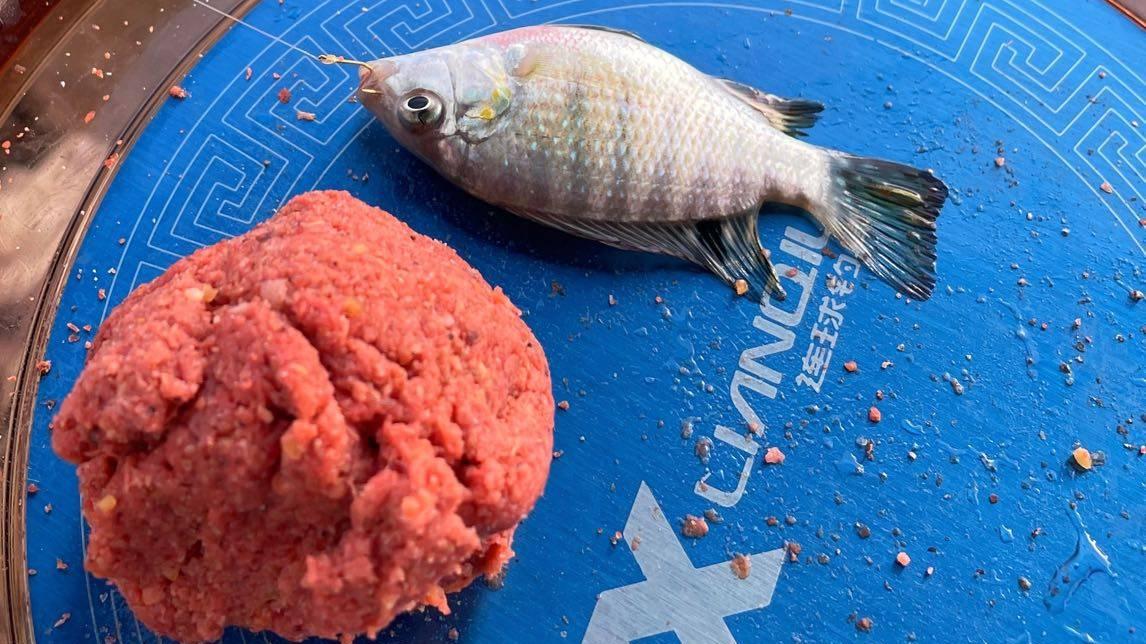 |垂钓的乐趣，不在于渔获的多少，而是这中间的经历，足够让你放松身心。