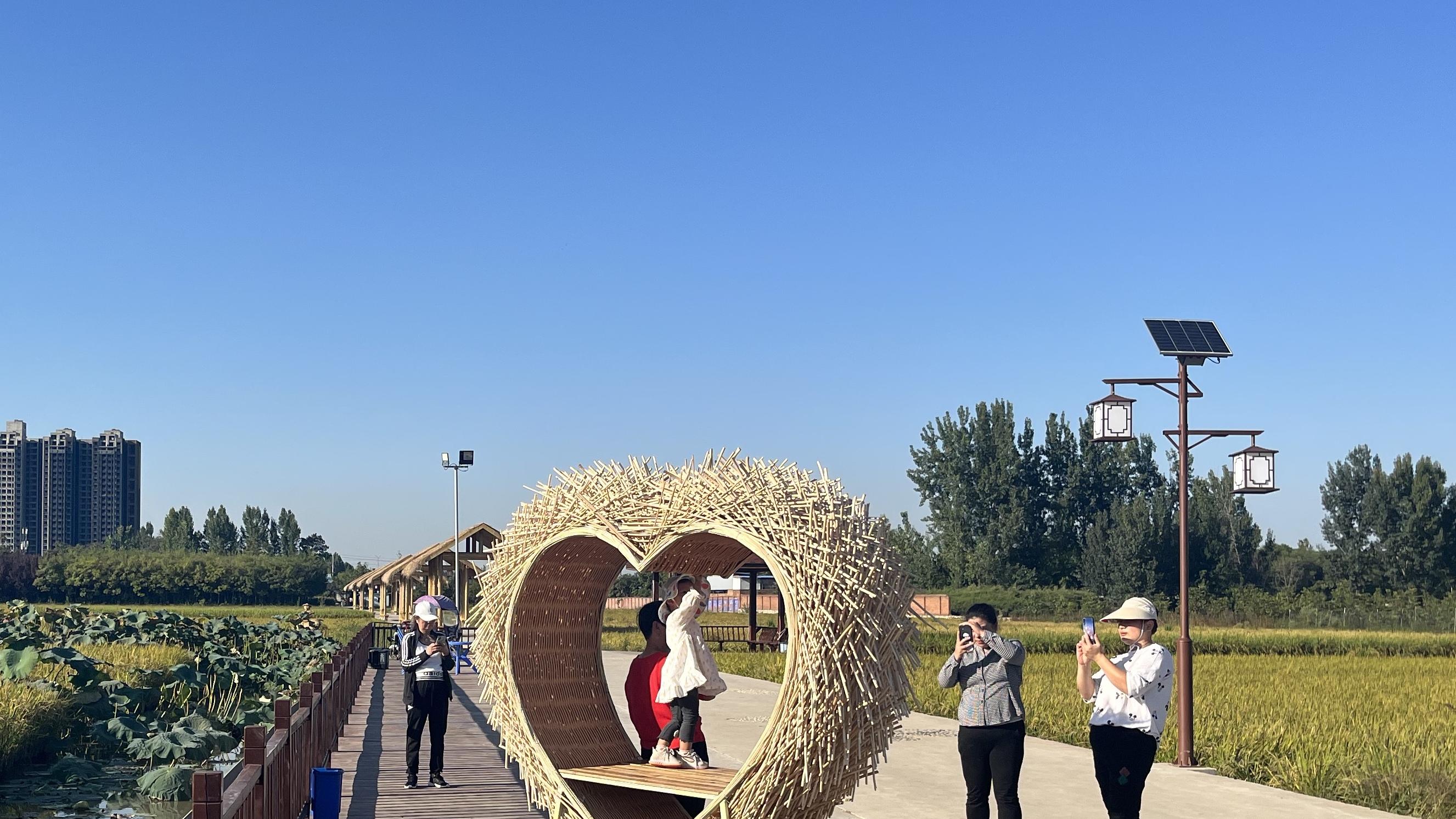 秦岭|观千亩水稻 享田园垂钓 这个“秦岭小江南”值得打卡！
