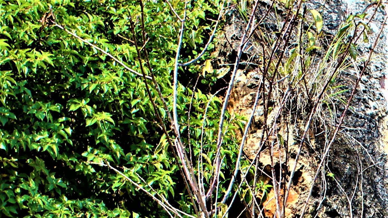 |线上的职场，没有随意