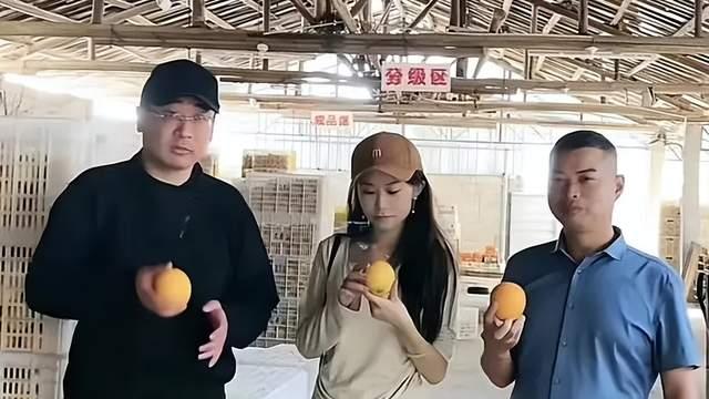 |姚威田静遭吐槽，田家没义务为真相负责，质疑姚威就是拉扯亲情？