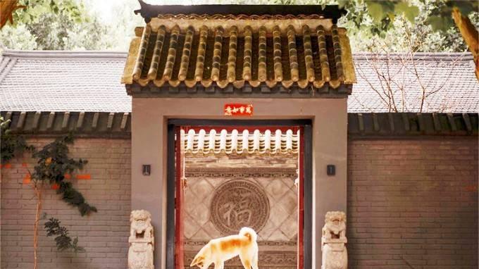 旅行|北京怀柔古水丰塘民宿，面积80亩投资2000万，三套院古水月包浅莲