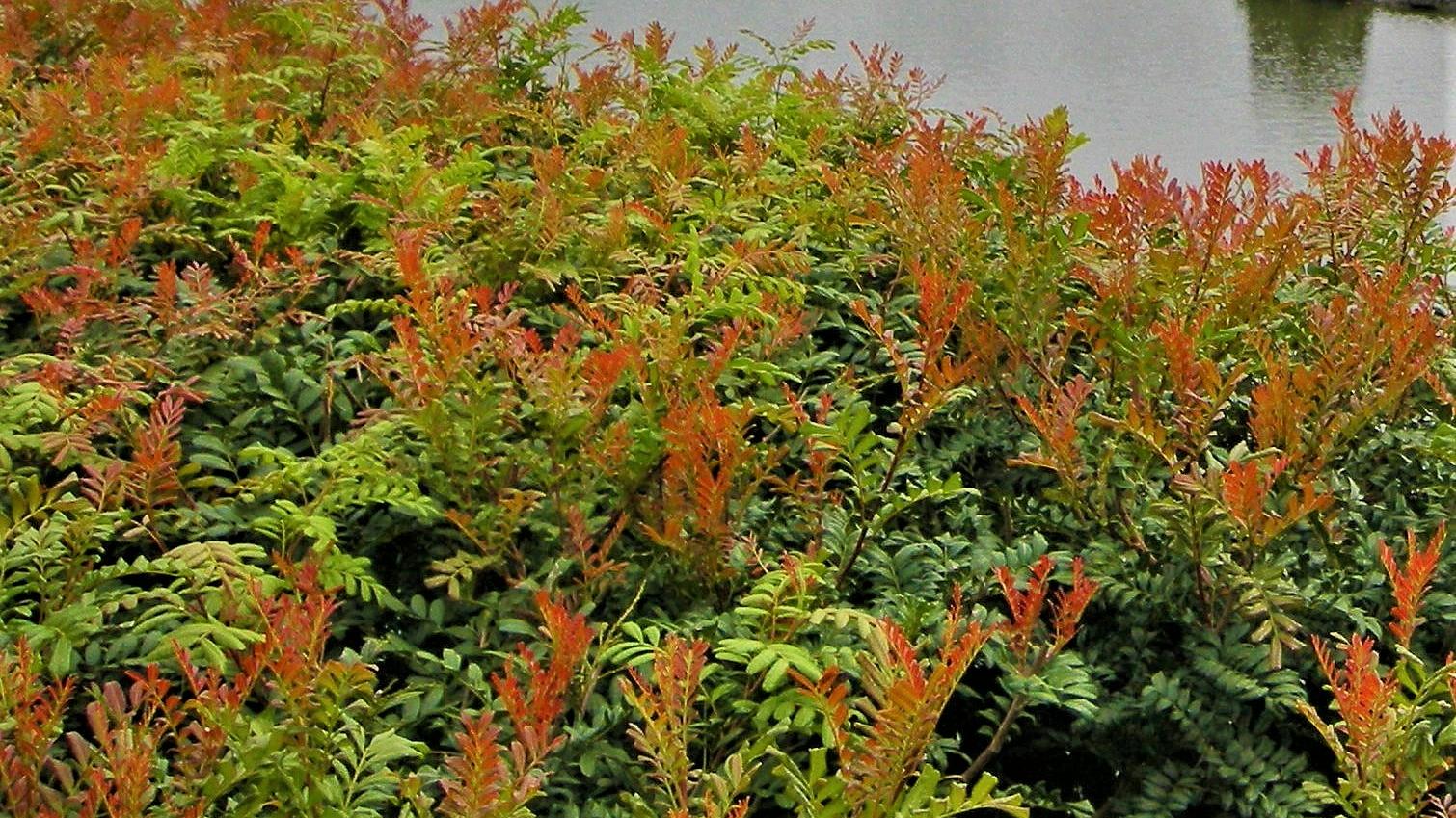 |飞奔职场的你，是不是有点儿太着急？