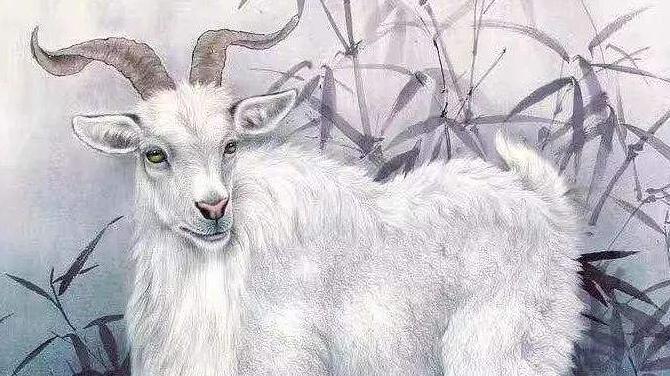 生肖|十一月最不缺喜悦，满目阳光，事业兴起的三个生肖，光景大好