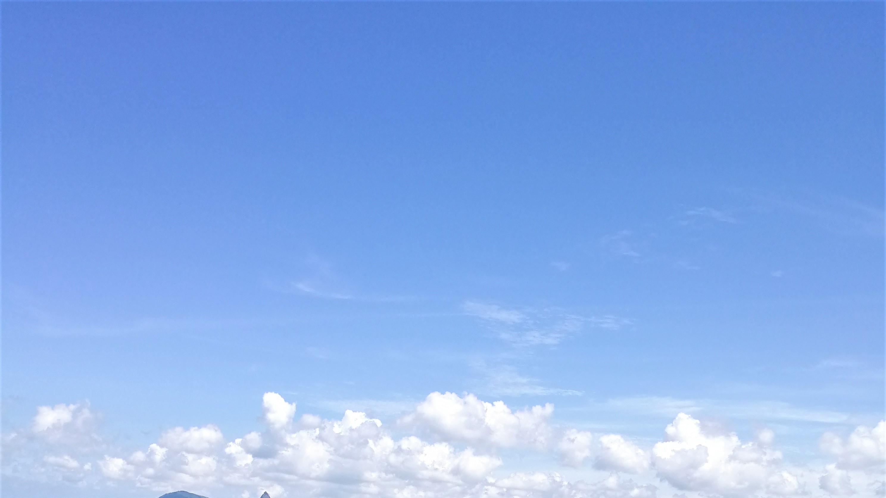 |职场胡萝卜加大棒，不一定有效果