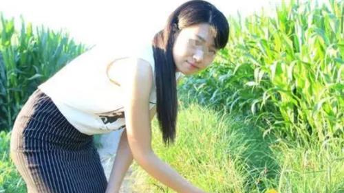 案例：河南女子与情人在玉米田偷情，路人要求加入，最终酿成血案