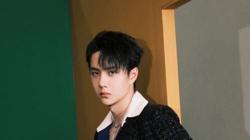 王一博|解读王一博的辟谣声明，李某某不是李易峰，三月份已遭双开！