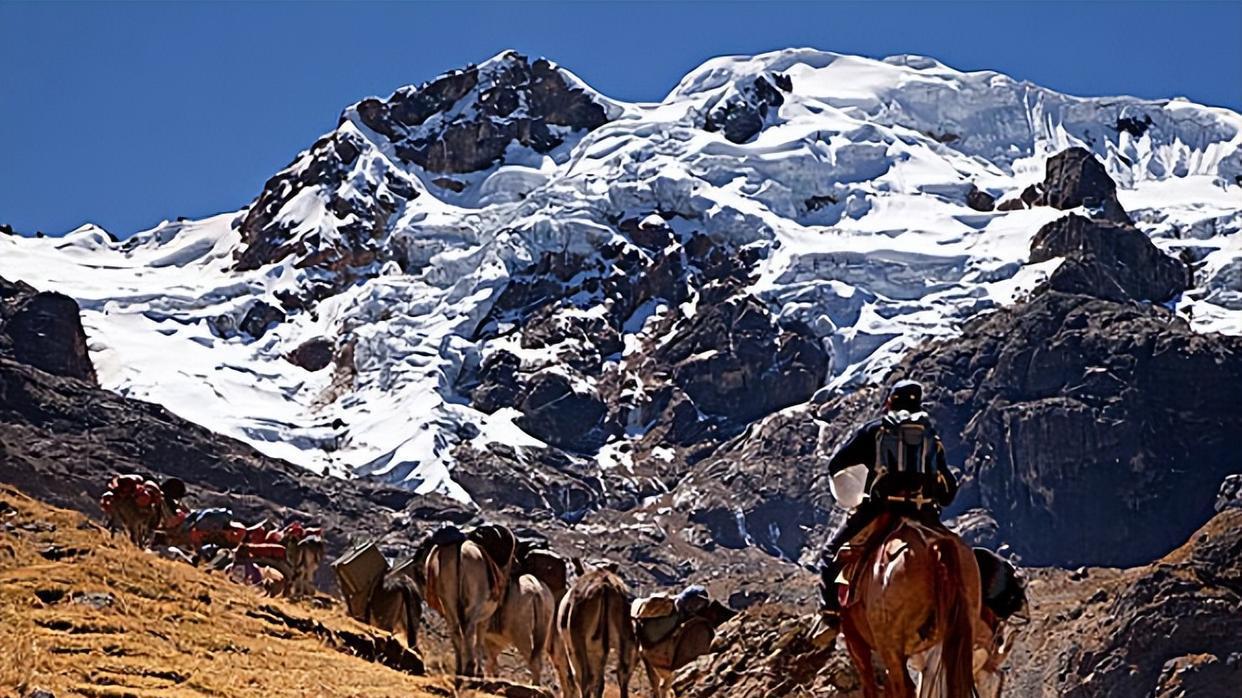 大家都知道，驴和马可以杂交！那牛和马可以杂交吗？答案早就存在
