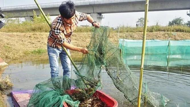|鄱阳湖惊现多条巨型地笼，当地称是两年前放入，钓鱼人称不可能！