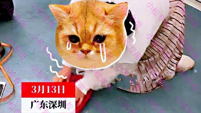 裁员|深圳：疑因发泄情绪，女子在地铁上吃东西，又跪地将残渣清理干净