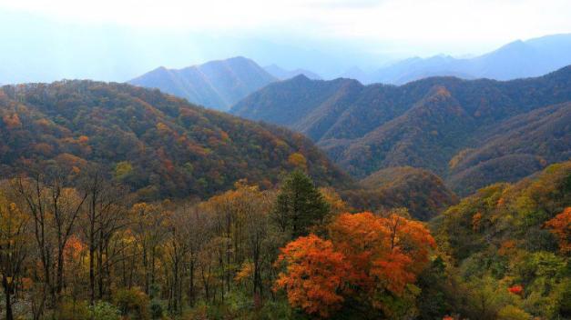 古镇|从兴山宝坪村出发，沿香溪河驱车北上，可以漫游神农架植物园