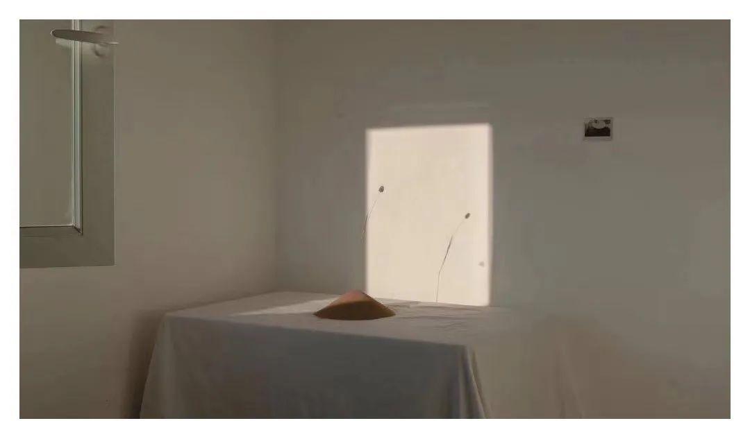 大学|穷变富，就跟蛇蜕皮一样，一次次重新成长的过程。