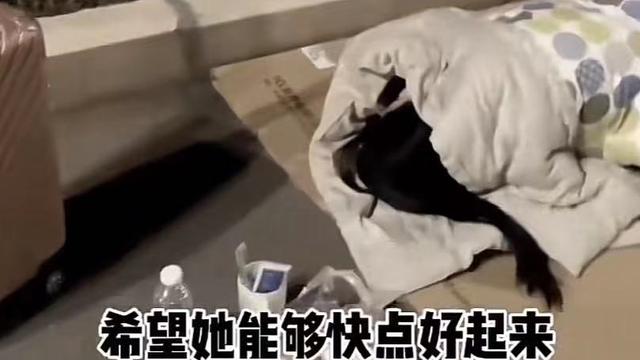 上海女子?深夜醉酒露宿街头，垫废纸睡觉，被男子发现后羞涩遮脸