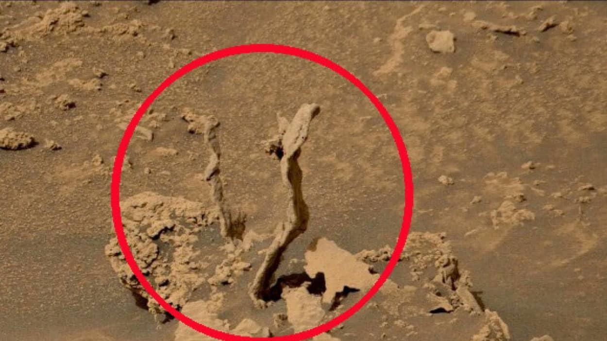 又有神秘物体被发现，火星表面某种东西像是正在发芽