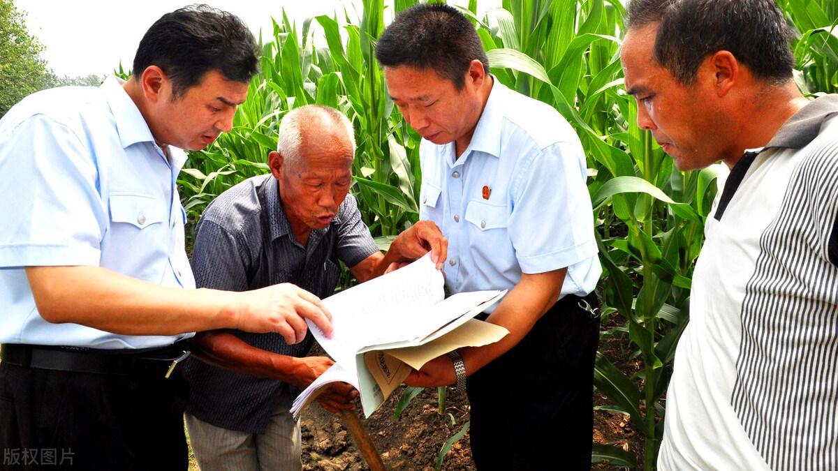 软件|农民怎么用手机测量土地的面积？操作简单，3分钟看明白