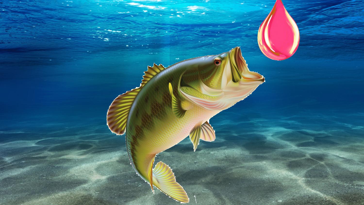 |钓鱼时的鱼口好坏，受什么影响？影响鱼口好坏的6个因素