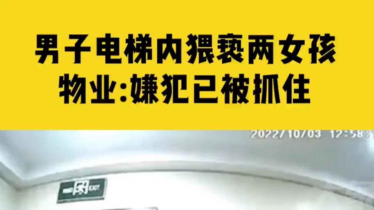 必须严惩！浙江宁波某小区的电梯内，发生一起令人气愤的案件。