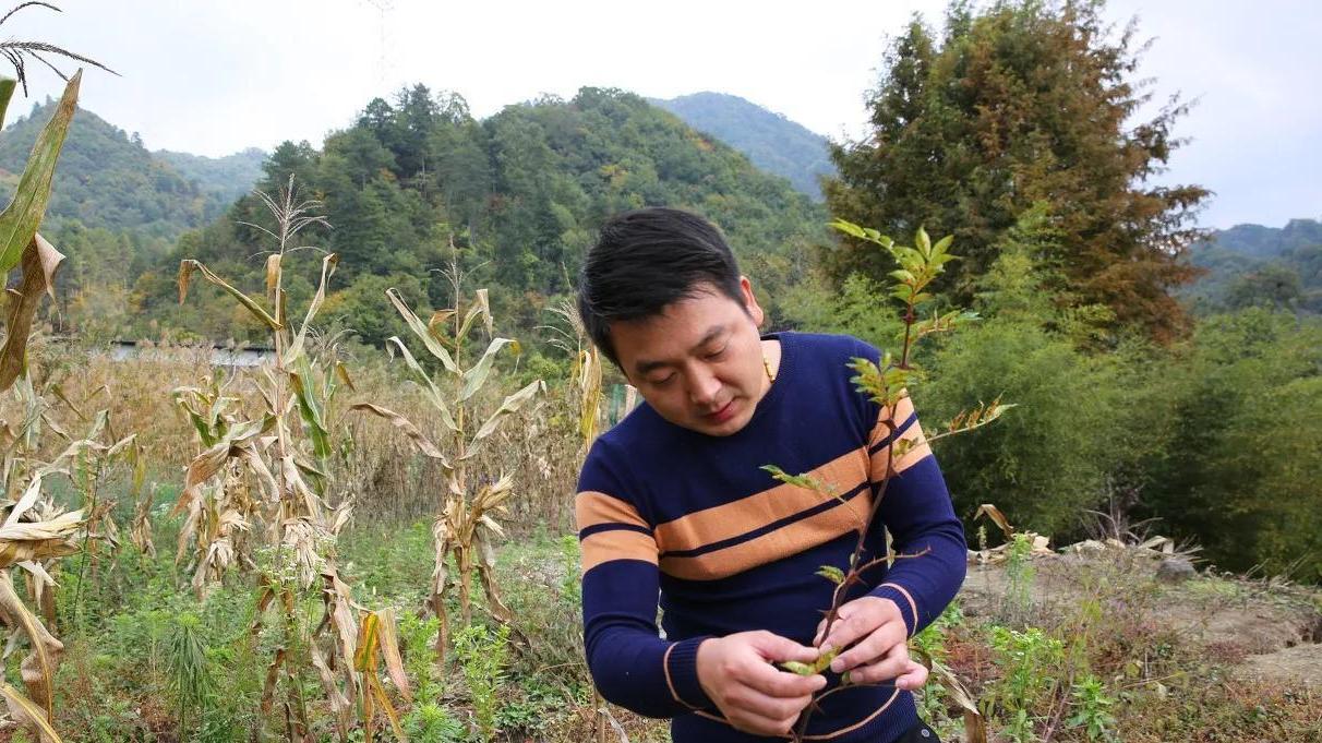 购房置业|为啥农村人都向往都市生活，而买房后又想回到农村生活呢？