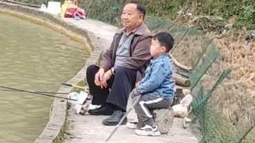 陕西|陕西安康，发生了一件令人惋惜的事情